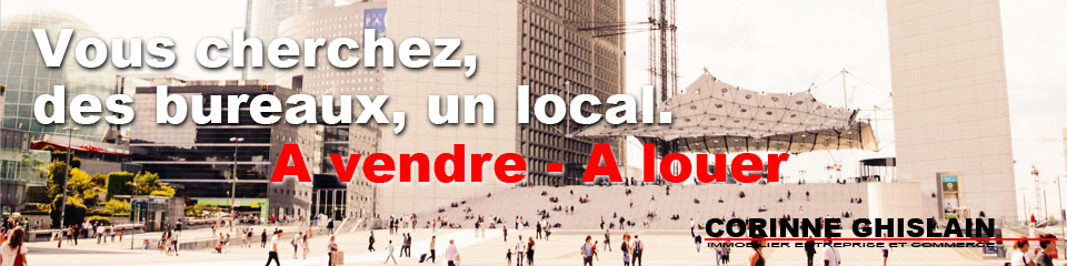 CORINNE GHISLAIN immobilier professionnel.